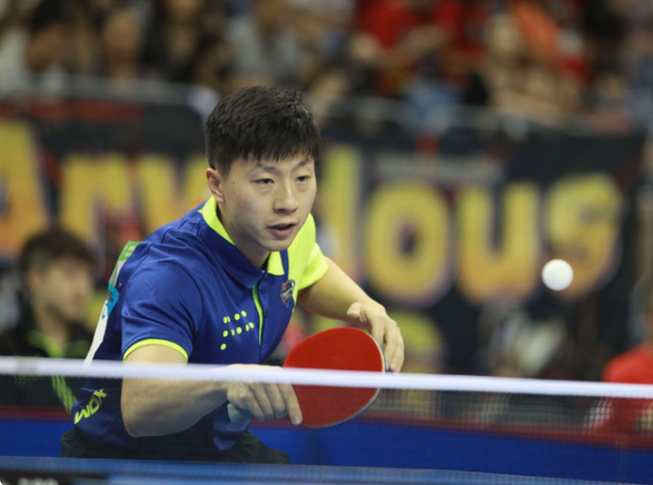 张本美和的 张本美和的