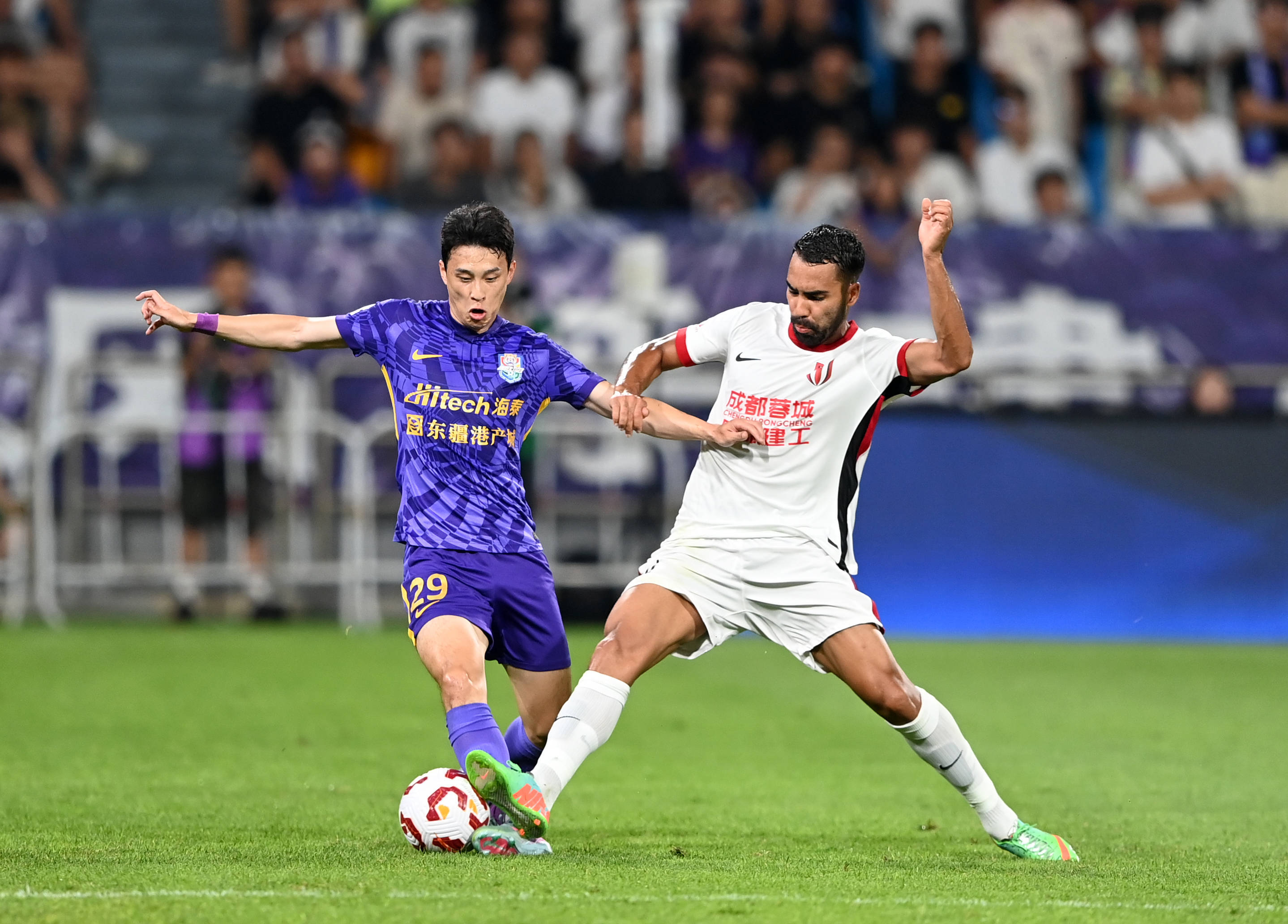 阶段正是牛 阶段正是牛